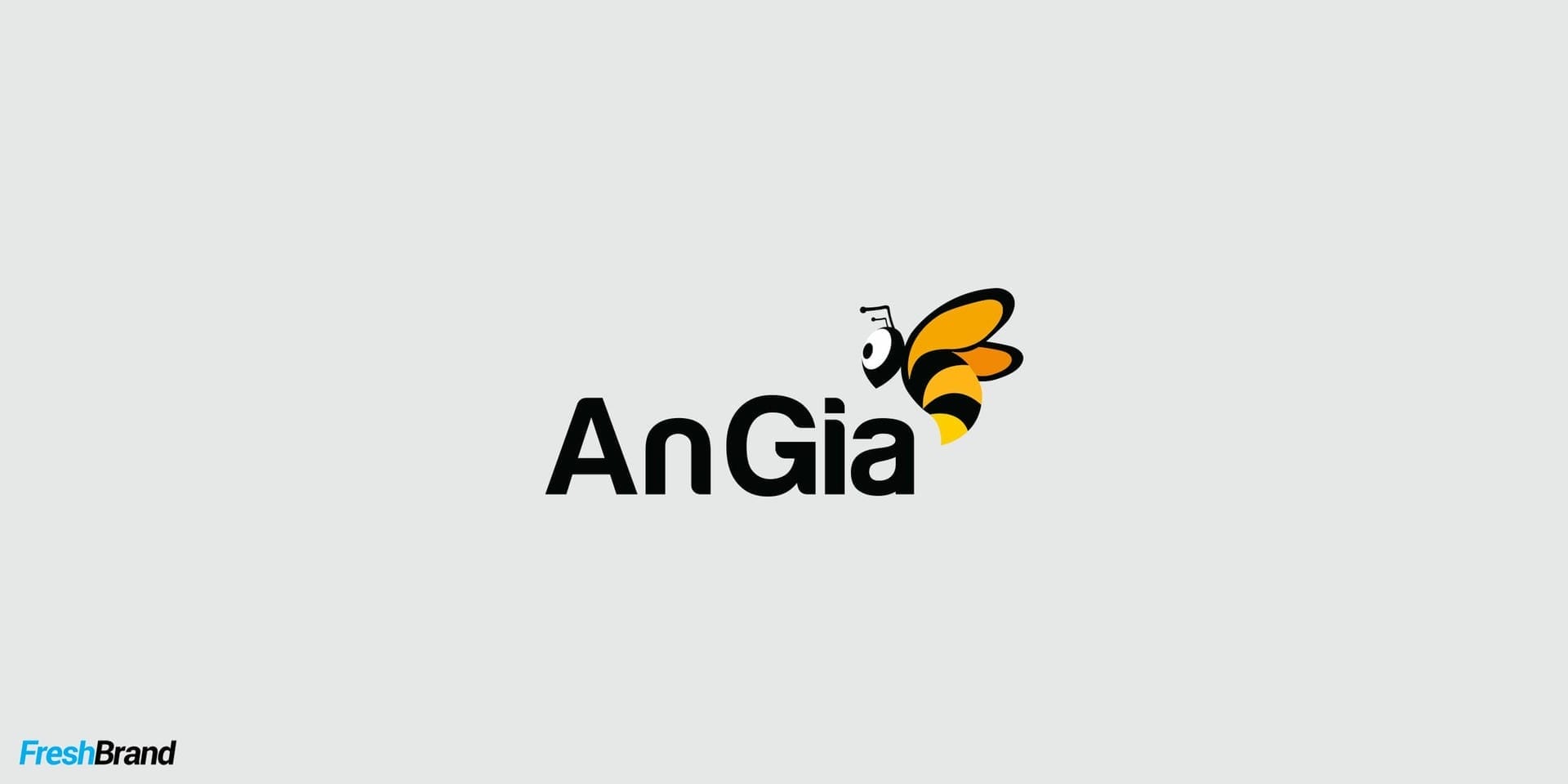 Angimex packaging