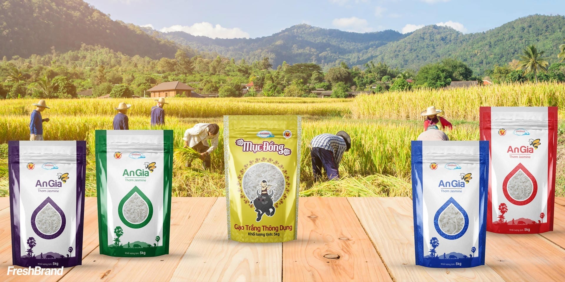 Angimex packaging