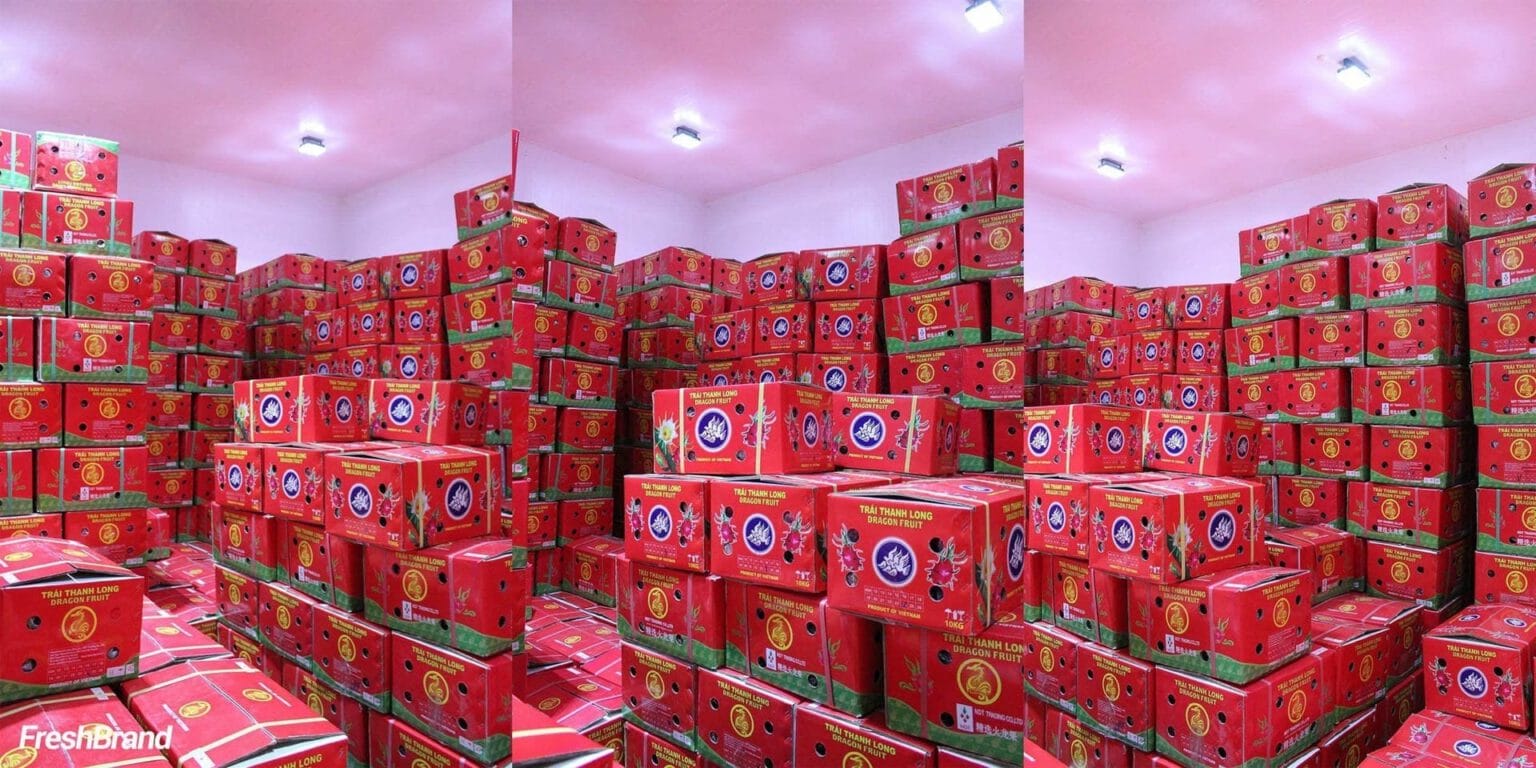 Thùng thanh long Nhất Đại Thành xếp trong kho lạnh