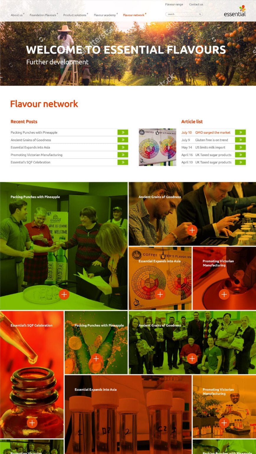 Essential Flavours website