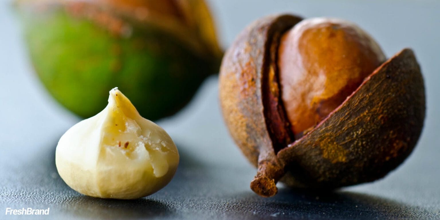 Macadamia Queen brand identity