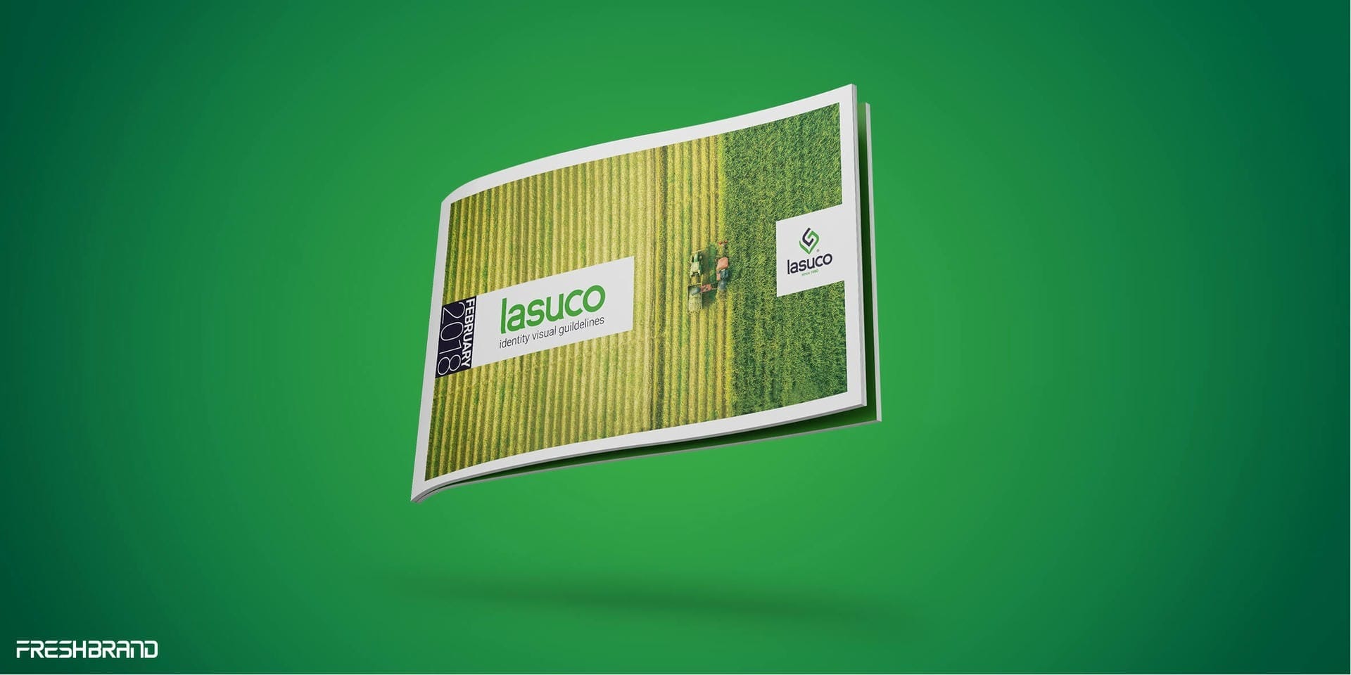 lasuco indentity visual guildelines 1