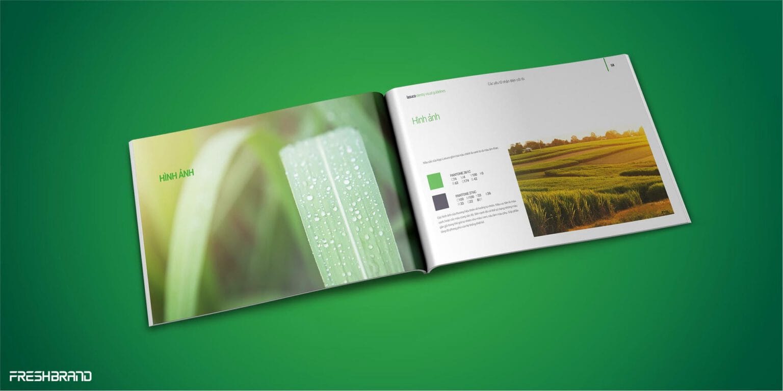 Lasuco Brand Guidelines, imagery page