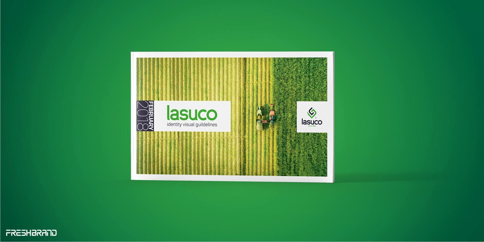 lasuco indentity visual guildelines 3