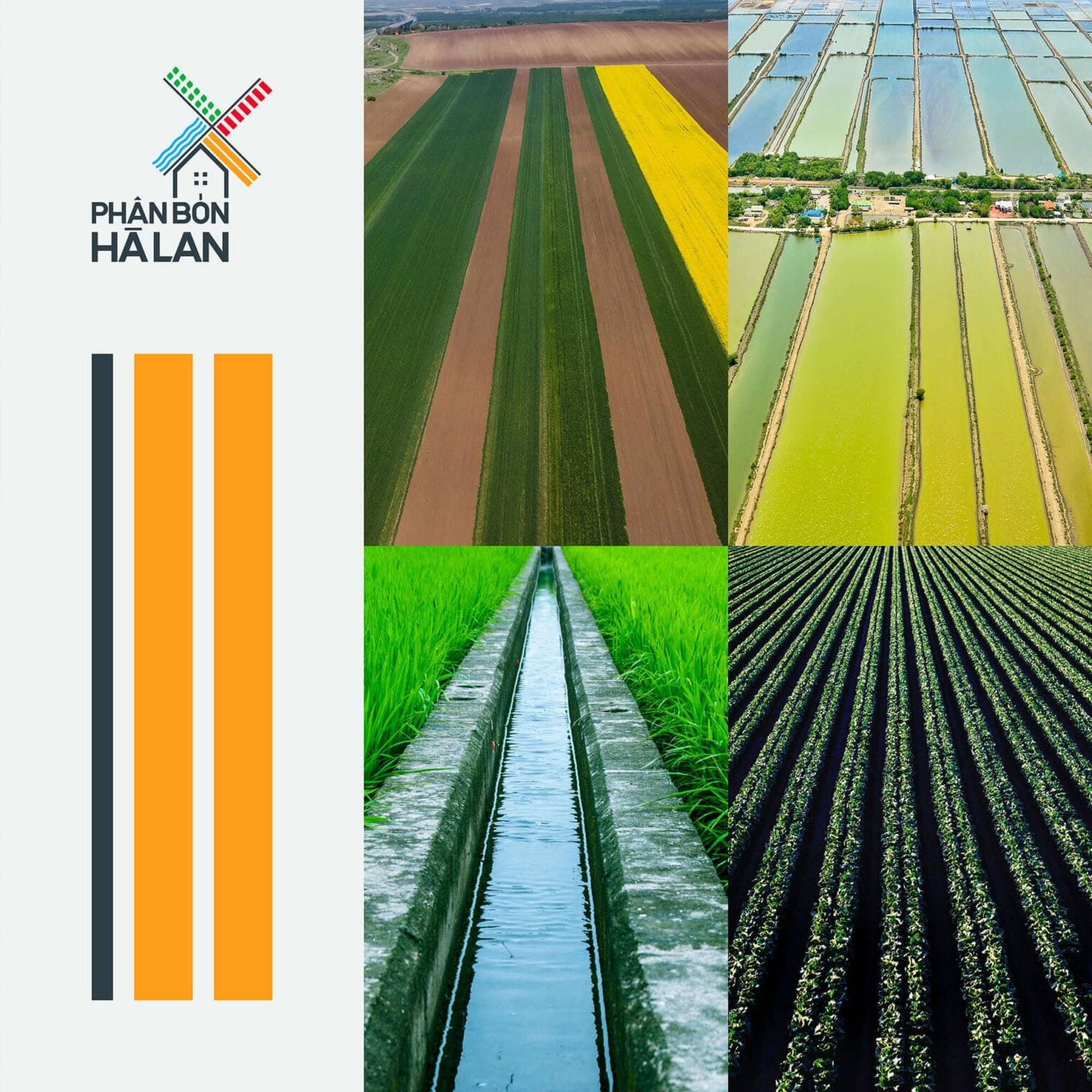 Phan Bon Ha Lan brand identity