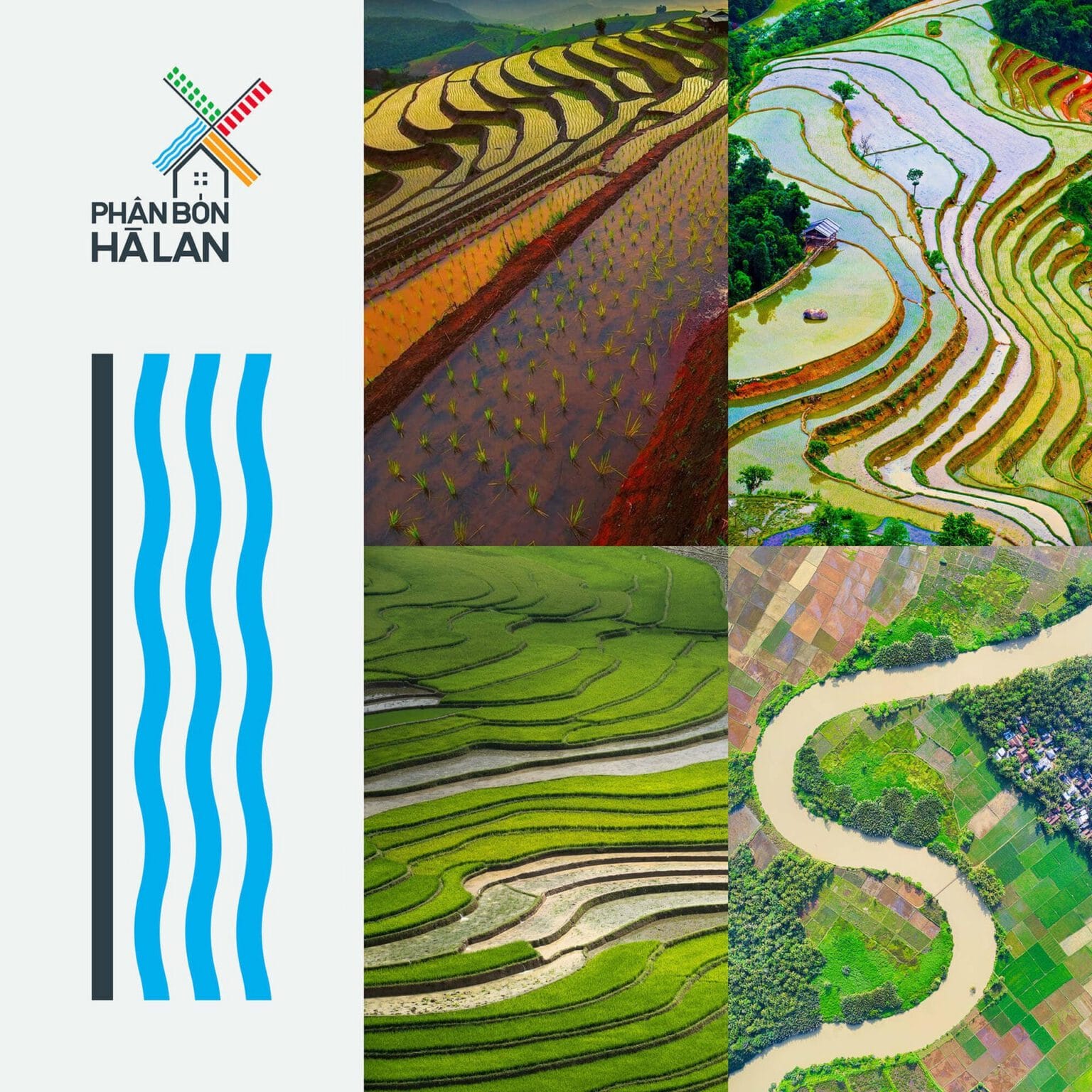 Phan Bon Ha Lan brand identity