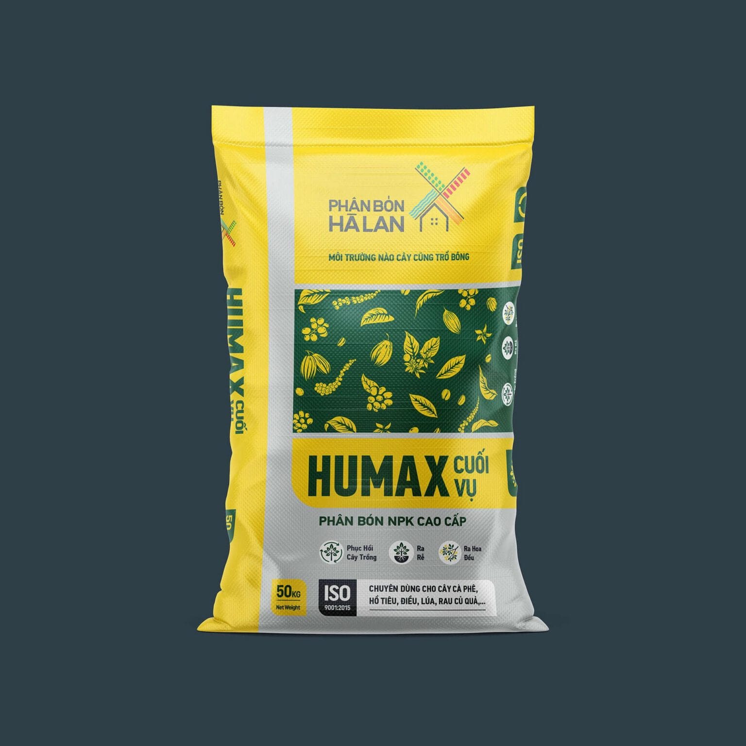 Phan Bon Ha Lan brand identity