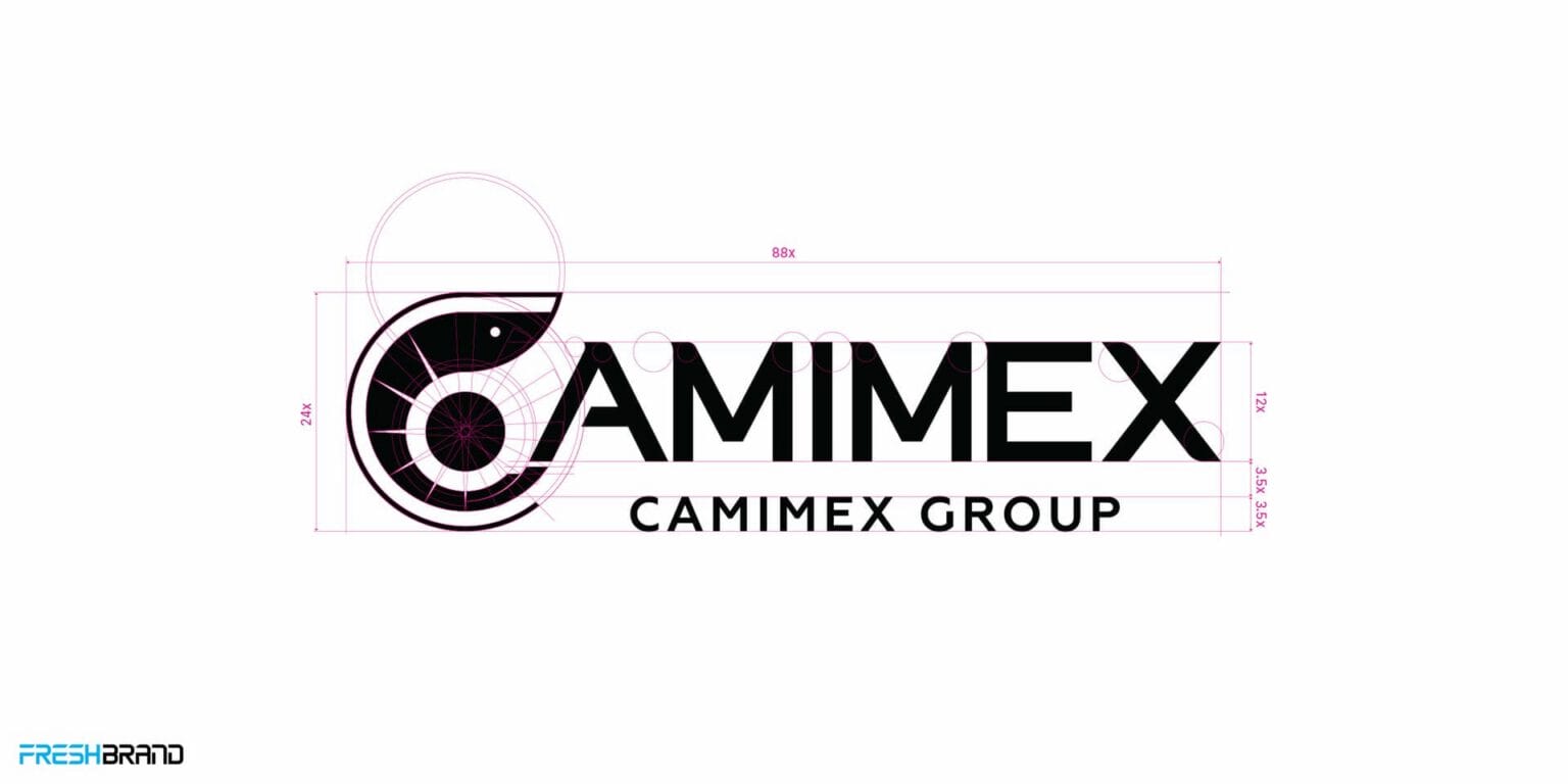 Construction grid of the CAMIMEX Group logo