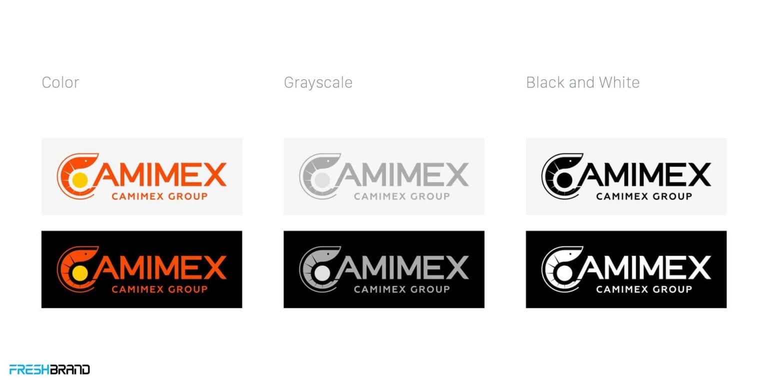 CAMIMEX logo in color, gray and black and white