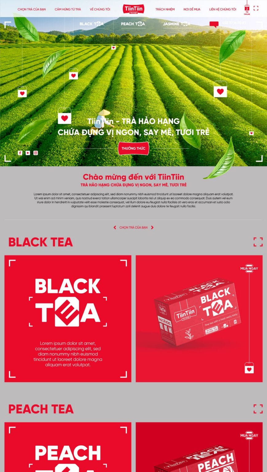 TiinTiin website