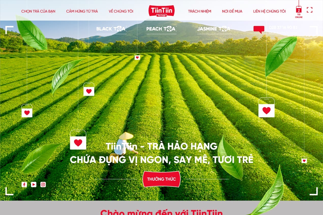 tiintiin freshbrand 1 img