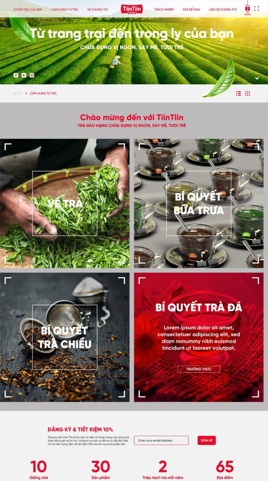 TiinTiin website