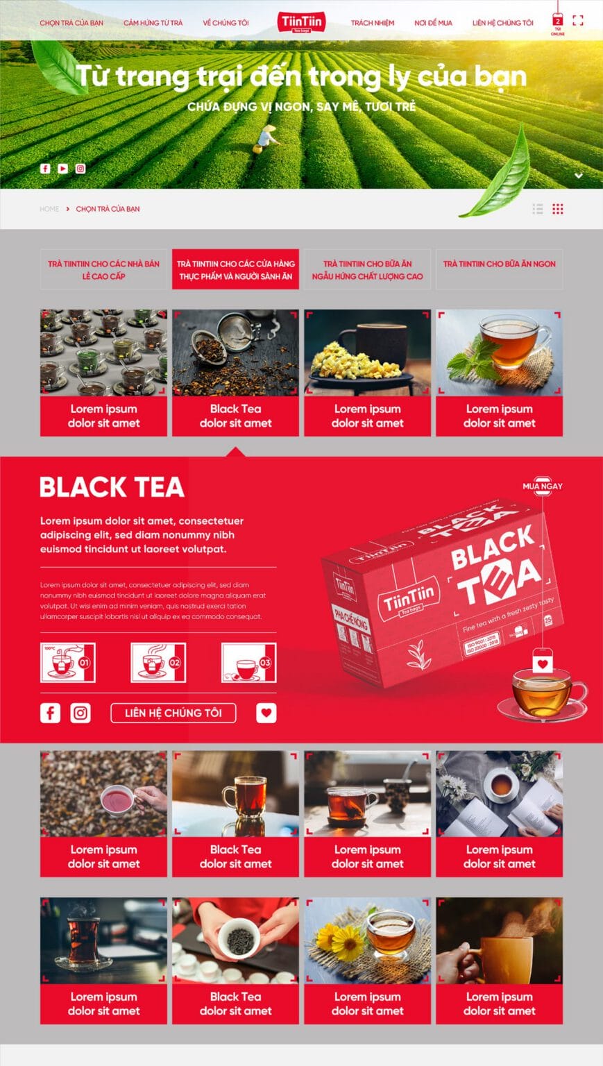 TiinTiin website
