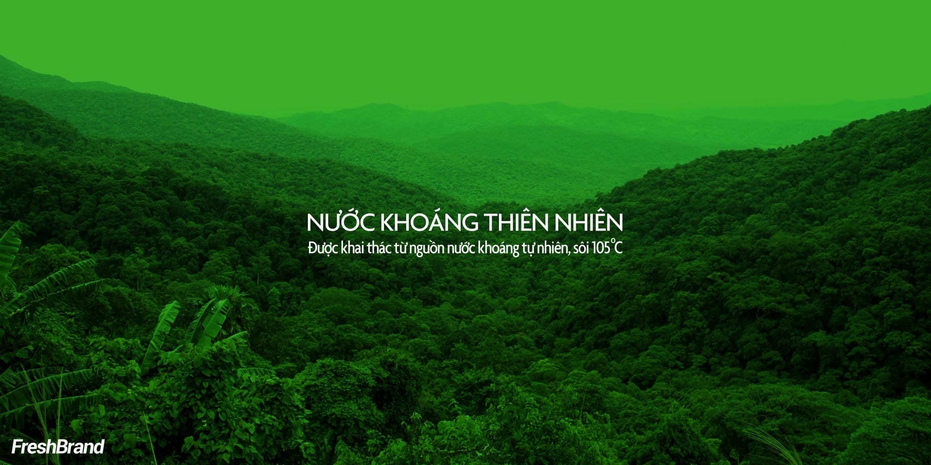 tu van thiet ke bao bi nuoc khoang bang freshbrand 1