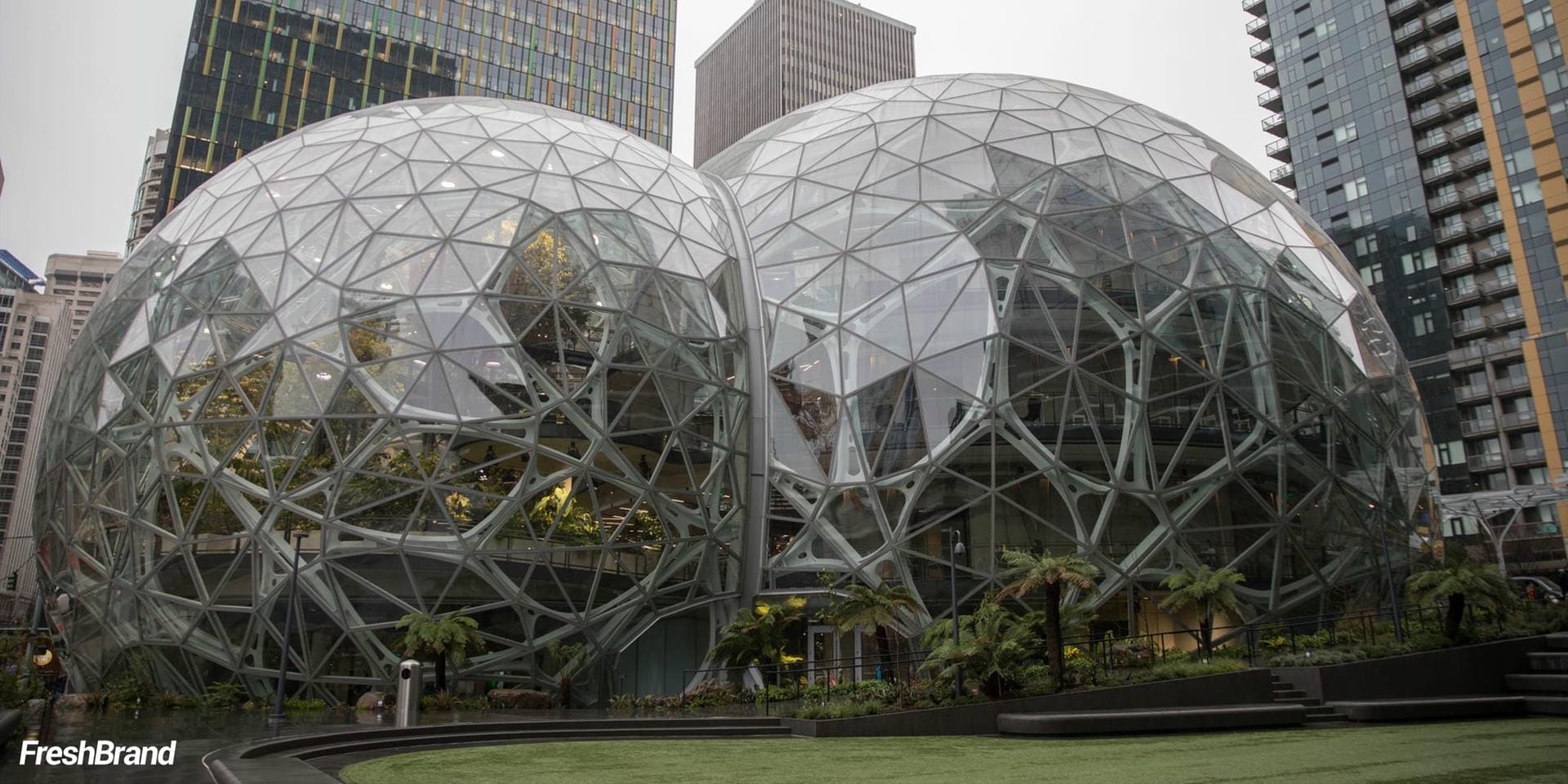 tu van thiet ke khong gian thuong hieu freshbrand 6