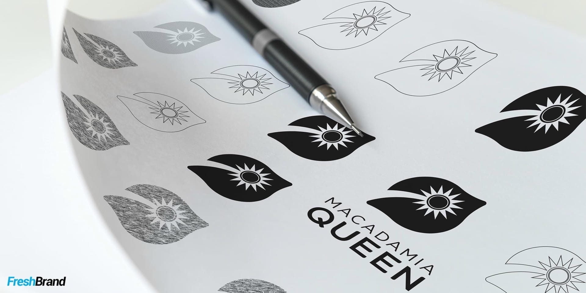 tu van thiet ke logo thuong hieu macadamia queen freshbrand 8